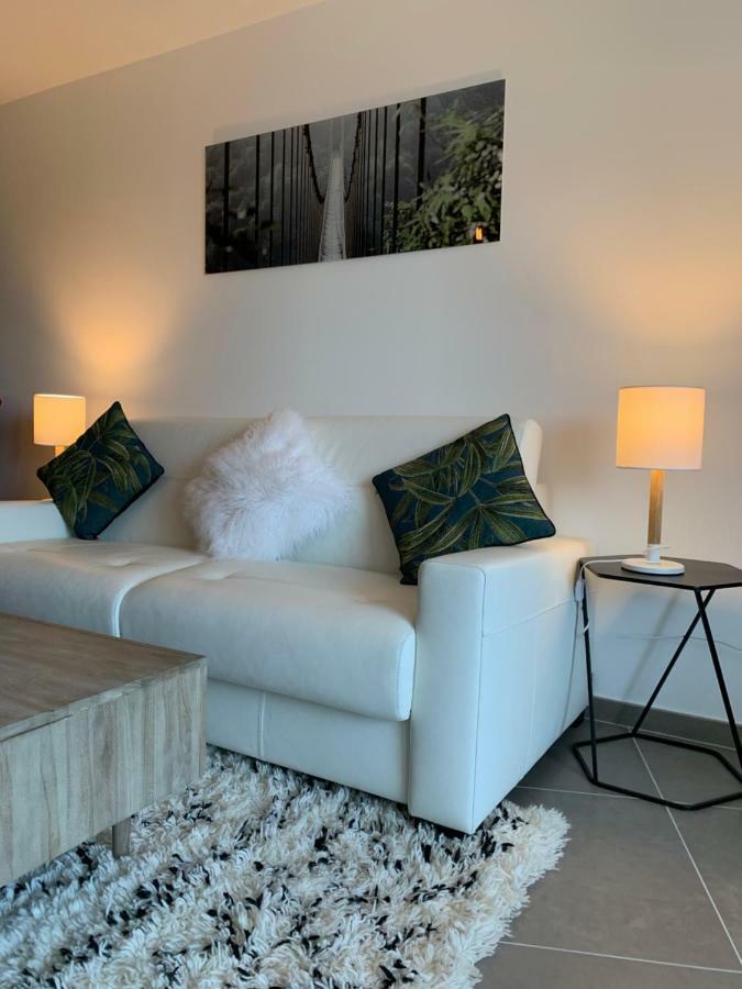 Rayan 4 Etoiles - Proche Lac & Vieille Ville, Garage Prive, Secteur Recherche Анси Экстерьер фото